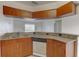 Kitchen with granite countertops, wood cabinets, and stainless steel appliances at 3730 Elmwood Dr, Holiday, FL 34691