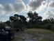 Large backyard with abundant trees, trailer, and sparse foliage at 6206 Paul Buchman Hwy, Plant City, FL 33565