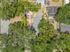 An aerial view shows the house surrounded by mature trees with a lush, private yard at 906 E Broad St, Tampa, FL 33604