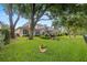 Lush landscaping and mature trees surround the manicured lawn and screened-in lanai at 2207 Climbing Ivy Dr, Tampa, FL 33618