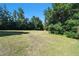 Large, well-maintained backyard with lush grass and mature trees, offering ample green space at 101 N Taylor Rd, Seffner, FL 33584