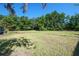 Expansive backyard with well-maintained lawn, bordered by mature trees and foliage under a blue sky at 101 N Taylor Rd, Seffner, FL 33584