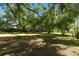 Lush greenery with an expansive lawn, shaded by large trees in the background at 101 N Taylor Rd, Seffner, FL 33584