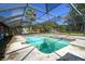 Outdoor pool with screened enclosure surrounded by lush tropical landscape and a clear blue sky at 101 N Taylor Rd, Seffner, FL 33584