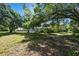 Expansive lot with mature trees and some buildings in the distance at 101 N Taylor Rd, Seffner, FL 33584