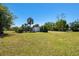 Landscaped yard with green grass, palm trees, and a shed against a clear blue sky at 101 N Taylor Rd, Seffner, FL 33584