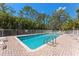 Beautiful community pool featuring a brick pool deck, white fence, and mature palms at 14506 Alejo Ct, Seminole, FL 33776