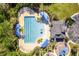 Aerial view of the community pool area, showcasing ample lounge space and shade at 17804 Brewster Grn, Lutz, FL 33559