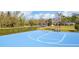Community basketball court with ample space for play near trees and landscaping at 17804 Brewster Grn, Lutz, FL 33559