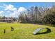 Well-maintained dog park with play structures and benches, providing a fun space for pets at 17804 Brewster Grn, Lutz, FL 33559