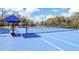 Community tennis court with bench seating and a shaded covering at 17804 Brewster Grn, Lutz, FL 33559