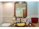 This bathroom has a vanity sink, medicine cabinet, and shower tub at 18121 Geraci Rd, Lutz, FL 33548