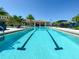 Community pool with bright blue water, palm trees, and lounging areas under a clear blue sky at 20423 Symphony Pl, Venice, FL 34293