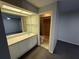 Bathroom featuring a single sink vanity, large mirror, and a walk-in shower at 2826 Rampart Cir, Clearwater, FL 33761