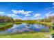Scenic pond surrounded by green lawns and mature trees under a bright sky at 5017 Muir Way, Lithia, FL 33547