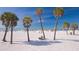 Scenic beach view with palm trees dotting the sandy landscape and people enjoying the sunny day by the ocean at 614 Fayette S Dr, Safety Harbor, FL 34695