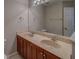 Bathroom featuring double sink vanity, a large mirror, and wood cabinets at 8531 Trail Wind Dr, Tampa, FL 33647