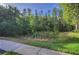 Lush green space provides a tranquil environment at 8531 Trail Wind Dr, Tampa, FL 33647