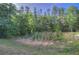 Lush green space provides a tranquil environment at 8531 Trail Wind Dr, Tampa, FL 33647