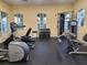 Community gym featuring various workout machines and dumbbell rack for resident fitness at 8531 Trail Wind Dr, Tampa, FL 33647