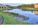 Scenic pond and water feature add beauty at 8531 Trail Wind Dr, Tampa, FL 33647