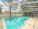 A sparkling screened-in pool surrounded by concrete with a view of backyard at 10206 N Hyaleah Rd, Tampa, FL 33617