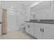 Bathroom showcasing a shower, dual vanity, and modern fixtures at 10433 Alder Green Dr, Riverview, FL 33578