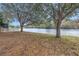 Expansive backyard featuring lush greenery and serene lake views, perfect for relaxation and outdoor enjoyment at 10506 Sky Flower Ct, Land O Lakes, FL 34638