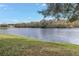 Picturesque lakefront view with lush green grass and trees under a clear blue sky, highlighting the serene setting at 10506 Sky Flower Ct, Land O Lakes, FL 34638