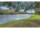 Scenic view of the lake surrounded by trees, showcasing the property's tranquil waterfront location at 10506 Sky Flower Ct, Land O Lakes, FL 34638