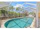 Sparkling pool with screened enclosure and a lush tropical view at 1141 80Th Street S Ct, St Petersburg, FL 33707