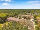 An aerial view showcasing the townhome complex in a community with trees at 11611 Mango Ridge Blvd, Seffner, FL 33584