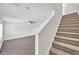 Carpeted staircase with white railing, leading to the upper level of the home with neutral walls at 11611 Mango Ridge Blvd, Seffner, FL 33584