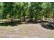 Expansive backyard with towering trees and a picnic area offers endless outdoor possibilities at 16224 Iola Woods Trl, Dade City, FL 33523