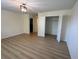 Spacious bedroom with wood-look floors, a modern light fixture, and a large walk-in closet at 2731 Hampton Green Ln, Brandon, FL 33511