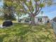 Large backyard featuring a grill, outdoor dining set, a lush lawn, and a giant shade tree at 4920 Pelican Dr, New Port Richey, FL 34652