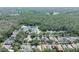 Aerial view of homes in a wooded area with a pond, showcasing the serene and nature-filled surroundings at 5607 Tanagergrove Way, Lithia, FL 33547