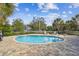 A beautiful blue swimming pool with brick trim, landscaping and palm trees at 612 Ozona Village Dr, Palm Harbor, FL 34683