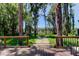 Beautiful backyard view with lush landscaping leading to a serene lake at 6341 Discovery Ln, Land O Lakes, FL 34638