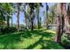 Expansive green backyard with mature trees and lake views at 6341 Discovery Ln, Land O Lakes, FL 34638