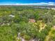 Aerial view of a home surrounded by lush greenery, showcasing the neighborhood's serene environment at 6901 N 19Th St, Tampa, FL 33610