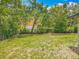 Backyard with mature trees and lush lawn at 6901 N 19Th St, Tampa, FL 33610