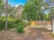 A shot of the fenced backyard with various trees and plants near the home at 6901 N 19Th St, Tampa, FL 33610