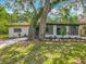 Charming home with lush greenery, featuring mature trees and landscaped garden beds at 6901 N 19Th St, Tampa, FL 33610