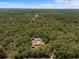 An aerial view showcases a serene home nestled amongst dense trees with a long driveway at 7095 South St, Webster, FL 33597