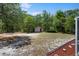 Large backyard with mature trees, a storage shed, and room to roam at 7095 South St, Webster, FL 33597