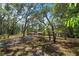 Mature trees provide shade for the long driveway leading to the home at 7095 South St, Webster, FL 33597