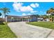 Charming home featuring a gray exterior, palm trees, and a long driveway at 8520 Woodall Ct, Tampa, FL 33615
