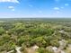 Scenic aerial view of lush green landscape and clear blue sky at 10502 Atlee St, New Port Richey, FL 34654