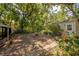 Lush backyard with a fire pit and abundant vegetation, offering a serene outdoor retreat at 1211 E Park Cir, Tampa, FL 33604